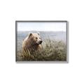 Picture of Waking Up _GroupedProduct_Rectangle_Landscape_Canvas_Framed_