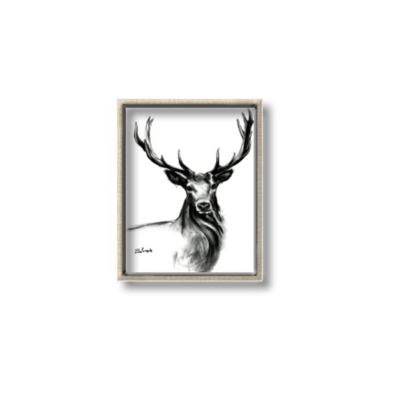 Picture of Sketched Deer  _GroupedProduct_Rectangle_Portrait_Canvas_Framed_