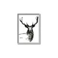Picture of Sketched Deer  _GroupedProduct_Rectangle_Portrait_Canvas_Framed_