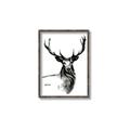 Picture of Sketched Deer  _GroupedProduct_Rectangle_Portrait_Canvas_Framed_
