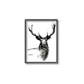 Picture of Sketched Deer  _GroupedProduct_Rectangle_Portrait_Canvas_Framed_