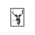 Picture of Sketched Deer  _GroupedProduct_Rectangle_Portrait_Canvas_Framed_