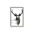 Picture of Sketched Deer  _GroupedProduct_Rectangle_Portrait_Canvas_Framed_