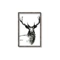 Picture of Sketched Deer  _GroupedProduct_Rectangle_Portrait_Canvas_Framed_