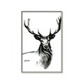 Picture of Sketched Deer  _GroupedProduct_Rectangle_Portrait_Canvas_Framed_