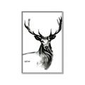 Picture of Sketched Deer  _GroupedProduct_Rectangle_Portrait_Canvas_Framed_