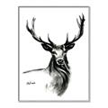 Picture of Sketched Deer  _GroupedProduct_Rectangle_Portrait_Canvas_Framed_