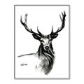 Picture of Sketched Deer  _GroupedProduct_Rectangle_Portrait_Canvas_Framed_