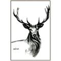 Picture of Sketched Deer  _GroupedProduct_Rectangle_Portrait_Canvas_Framed_