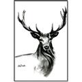 Picture of Sketched Deer  _GroupedProduct_Rectangle_Portrait_Canvas_Framed_