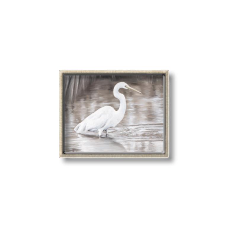 Picture of Wading Egret _GroupedProduct_Rectangle_Landscape_Canvas_Framed_