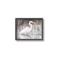Picture of Wading Egret _GroupedProduct_Rectangle_Landscape_Canvas_Framed_
