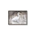 Picture of Wading Egret _GroupedProduct_Rectangle_Landscape_Canvas_Framed_