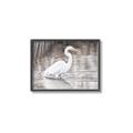 Picture of Wading Egret _GroupedProduct_Rectangle_Landscape_Canvas_Framed_