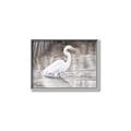 Picture of Wading Egret _GroupedProduct_Rectangle_Landscape_Canvas_Framed_