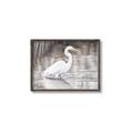 Picture of Wading Egret _GroupedProduct_Rectangle_Landscape_Canvas_Framed_