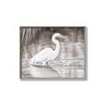 Picture of Wading Egret _GroupedProduct_Rectangle_Landscape_Canvas_Framed_