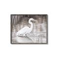Picture of Wading Egret _GroupedProduct_Rectangle_Landscape_Canvas_Framed_