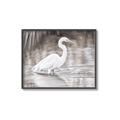 Picture of Wading Egret _GroupedProduct_Rectangle_Landscape_Canvas_Framed_