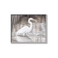 Picture of Wading Egret _GroupedProduct_Rectangle_Landscape_Canvas_Framed_