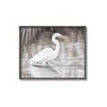 Picture of Wading Egret _GroupedProduct_Rectangle_Landscape_Canvas_Framed_