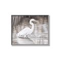 Picture of Wading Egret _GroupedProduct_Rectangle_Landscape_Canvas_Framed_