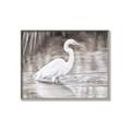 Picture of Wading Egret _GroupedProduct_Rectangle_Landscape_Canvas_Framed_