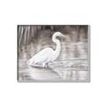 Picture of Wading Egret _GroupedProduct_Rectangle_Landscape_Canvas_Framed_