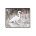 Picture of Wading Egret _GroupedProduct_Rectangle_Landscape_Canvas_Framed_