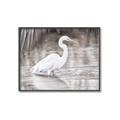Picture of Wading Egret _GroupedProduct_Rectangle_Landscape_Canvas_Framed_