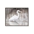 Picture of Wading Egret _GroupedProduct_Rectangle_Landscape_Canvas_Framed_