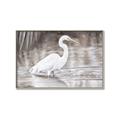 Picture of Wading Egret _GroupedProduct_Rectangle_Landscape_Canvas_Framed_