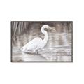Picture of Wading Egret _GroupedProduct_Rectangle_Landscape_Canvas_Framed_
