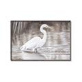 Picture of Wading Egret _GroupedProduct_Rectangle_Landscape_Canvas_Framed_