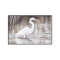 Picture of Wading Egret _GroupedProduct_Rectangle_Landscape_Canvas_Framed_