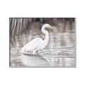 Picture of Wading Egret _GroupedProduct_Rectangle_Landscape_Canvas_Framed_