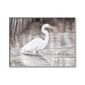 Picture of Wading Egret _GroupedProduct_Rectangle_Landscape_Canvas_Framed_