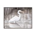 Picture of Wading Egret _GroupedProduct_Rectangle_Landscape_Canvas_Framed_