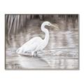 Picture of Wading Egret _GroupedProduct_Rectangle_Landscape_Canvas_Framed_
