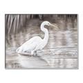 Picture of Wading Egret _GroupedProduct_Rectangle_Landscape_Canvas_Framed_