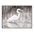 Picture of Wading Egret _GroupedProduct_Rectangle_Landscape_Canvas_Framed_