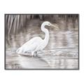 Picture of Wading Egret _GroupedProduct_Rectangle_Landscape_Canvas_Framed_