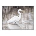 Picture of Wading Egret _GroupedProduct_Rectangle_Landscape_Canvas_Framed_