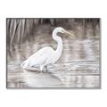 Picture of Wading Egret _GroupedProduct_Rectangle_Landscape_Canvas_Framed_