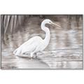 Picture of Wading Egret _GroupedProduct_Rectangle_Landscape_Canvas_Framed_