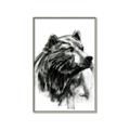 Picture of Sketched Bear _GroupedProduct_Rectangle_Portrait_Canvas_Framed_
