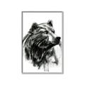 Picture of Sketched Bear _GroupedProduct_Rectangle_Portrait_Canvas_Framed_