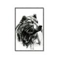 Picture of Sketched Bear _GroupedProduct_Rectangle_Portrait_Canvas_Framed_