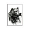 Picture of Sketched Bear _GroupedProduct_Rectangle_Portrait_Canvas_Framed_
