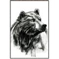 Picture of Sketched Bear _GroupedProduct_Rectangle_Portrait_Canvas_Framed_